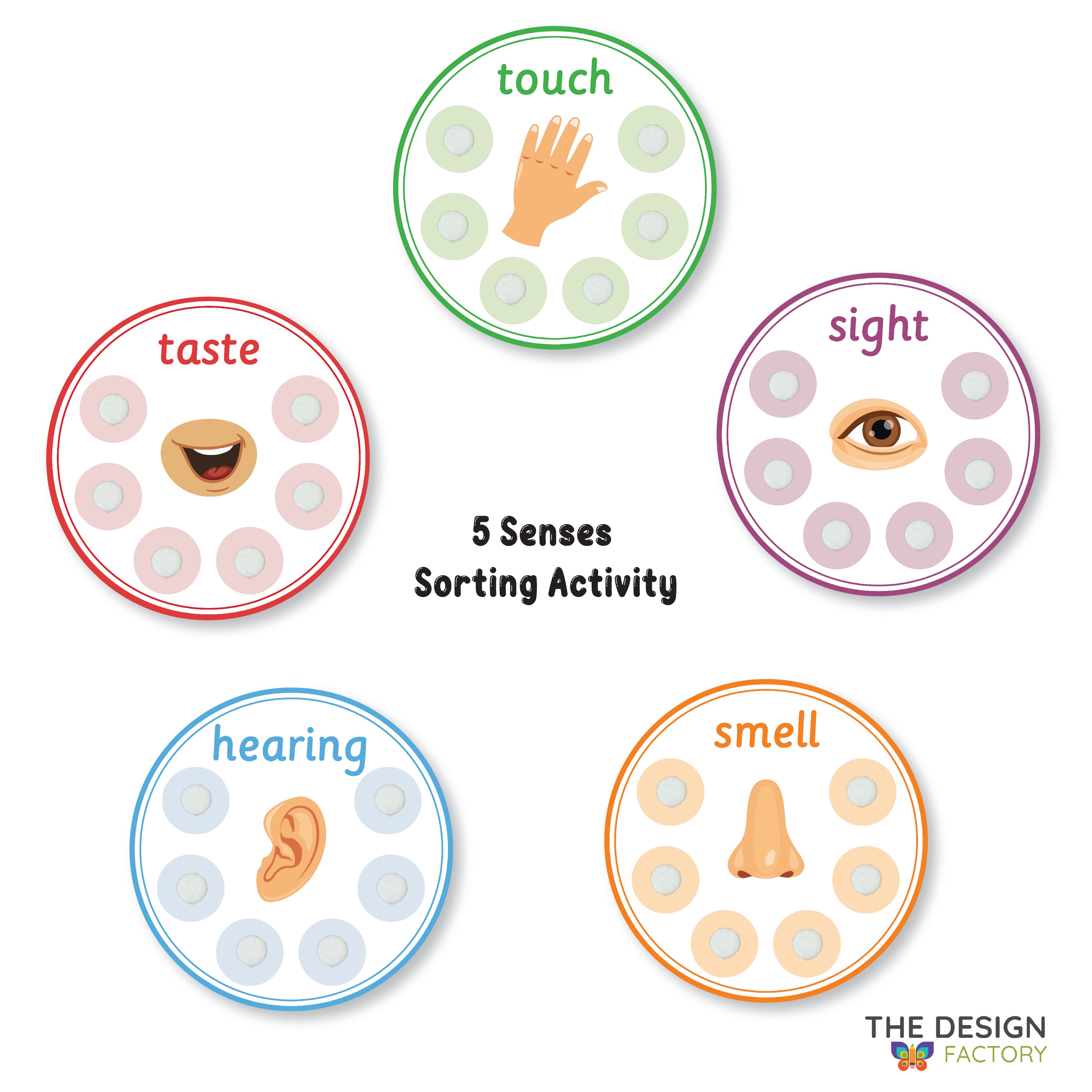 5 Senses Sorting Activity