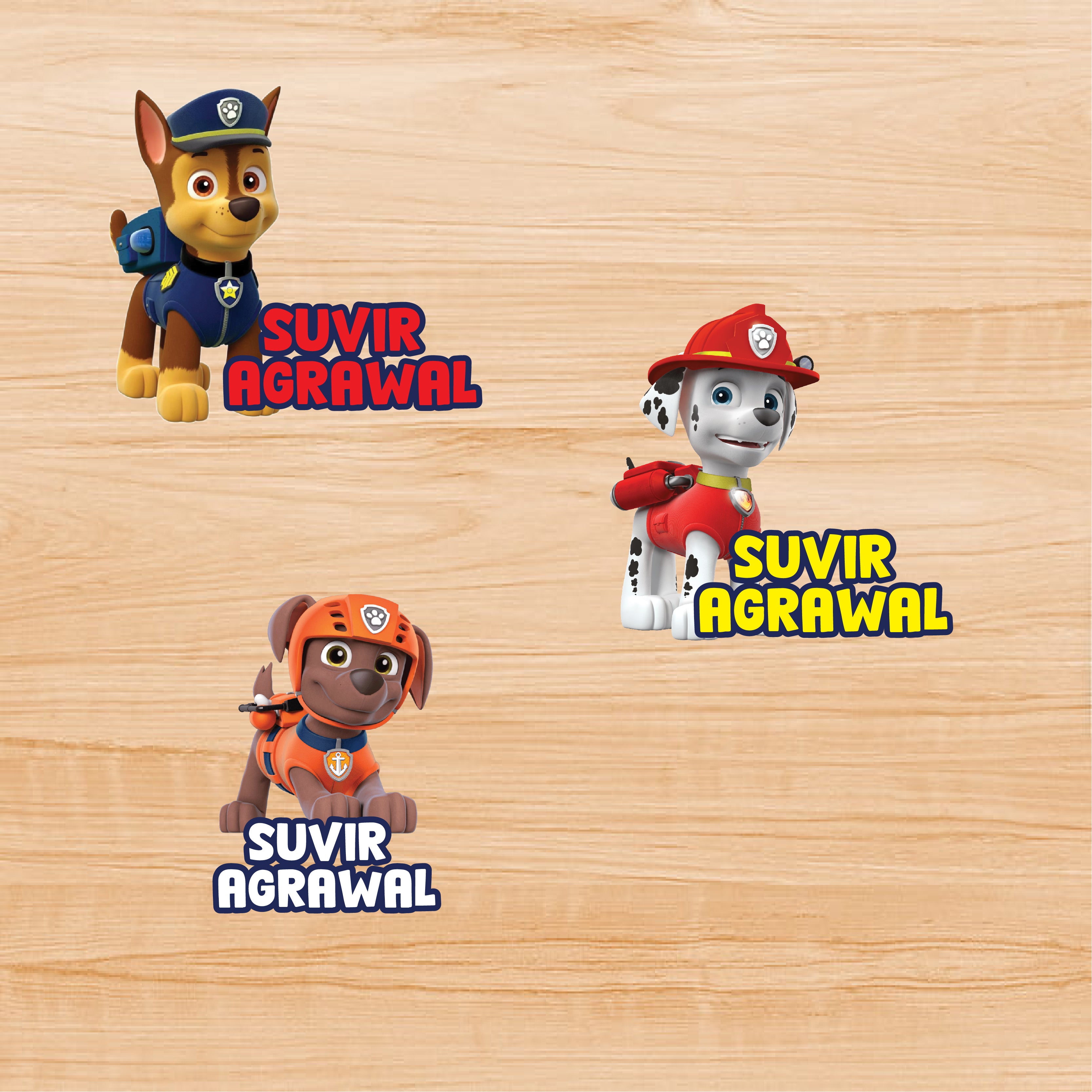 Permenant Waterproof Sticker - Paw Patrol